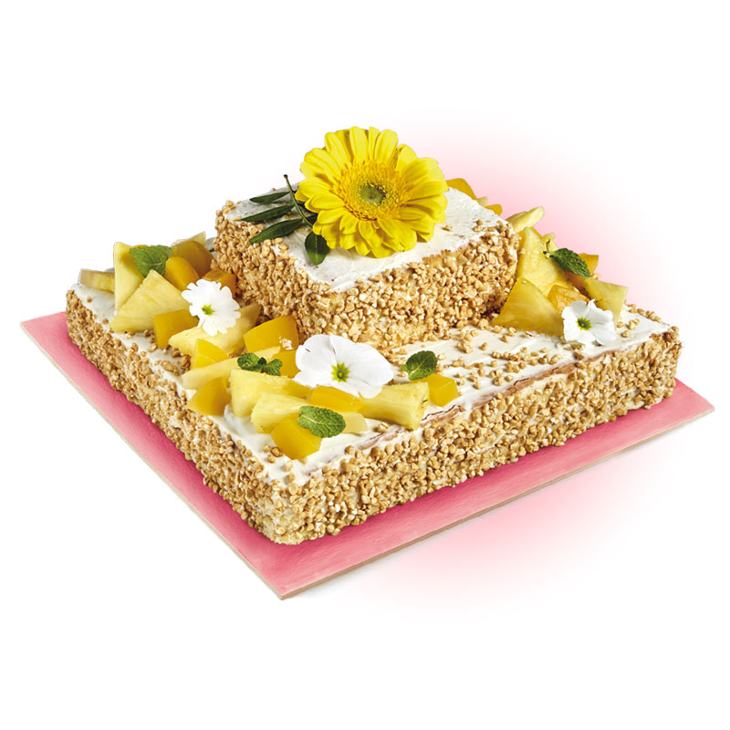 Torta quadrata con Pan di Spagna Mariarosa