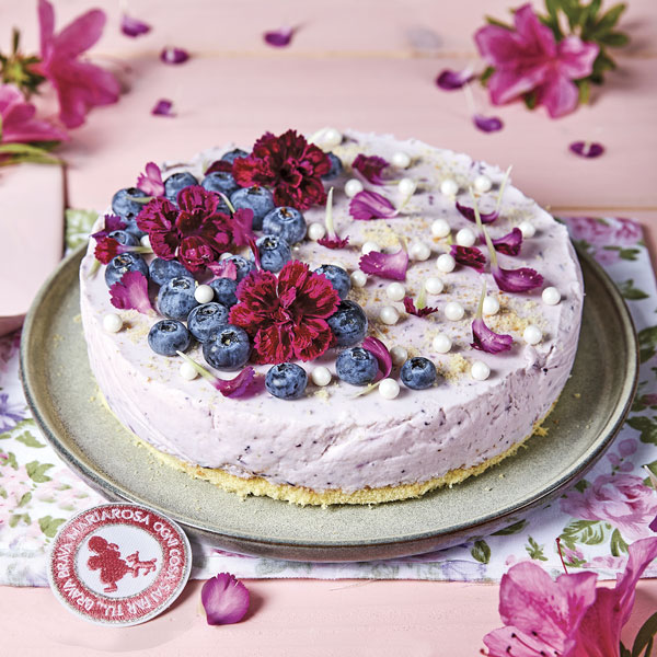 Cheesecake con mousse di mirtilli